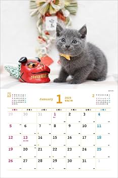 2025 かわいすぎるねこカレンダー ([カレンダー]) | 山下 良子